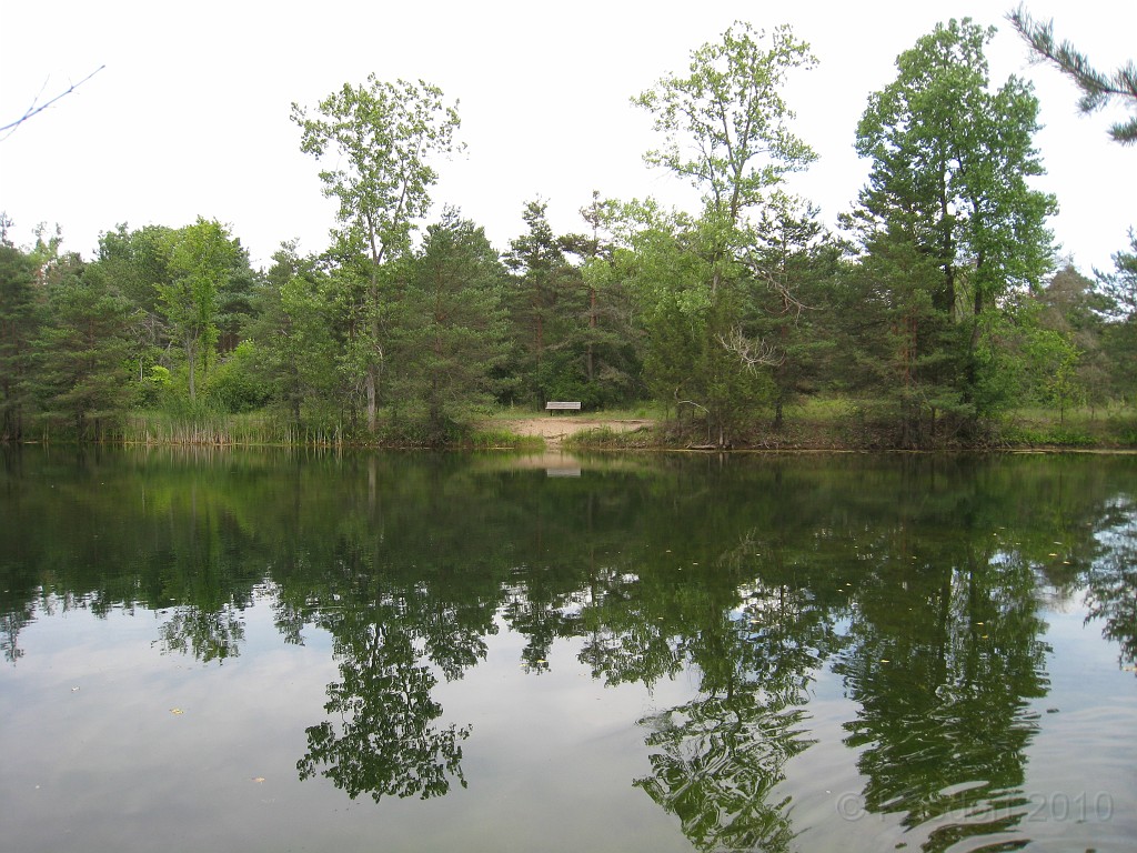 Matthaei Botanical Gardens 2010 0490.jpg - Inside the park there are a couple larger ponds. I have seen people, obviously optomists, fishing here. A bench on the far side for weary hiker/walkers/runners to rest on.